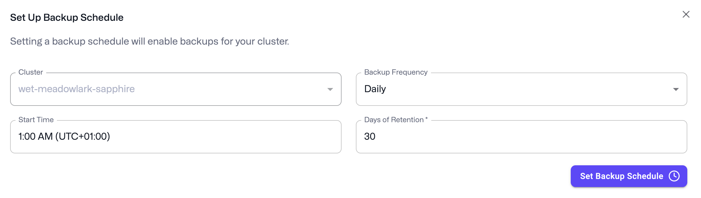 Configure a cluster backup